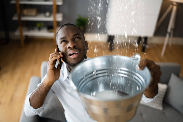 Best Water damage restoration mold remediation  in Euharlee, GA