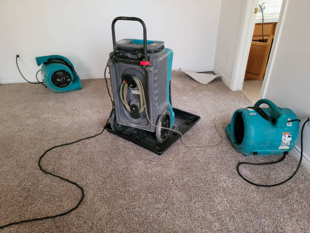 Water damage restoration mold remediation in GA