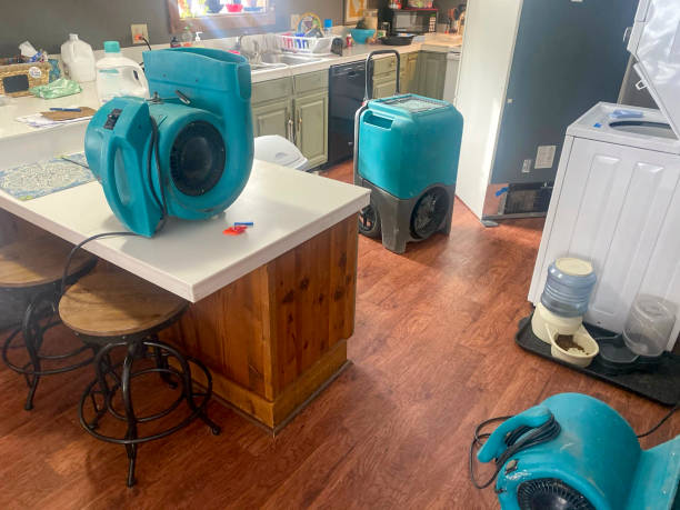 Best Ceiling water damage repair  in Euharlee, GA