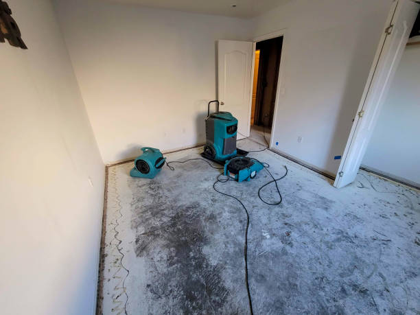 Best Emergency water extraction  in Euharlee, GA