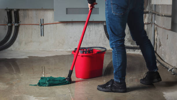 Best Water damage restoration company  in Euharlee, GA
