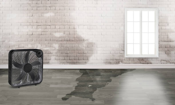 , GA Water damage restoration Company