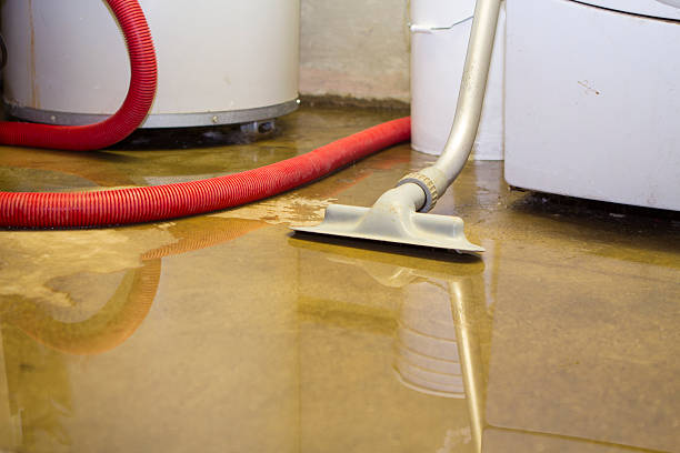 Best Flood restoration services  in Euharlee, GA