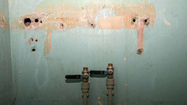 Best Mold removal after water damage  in Euharlee, GA