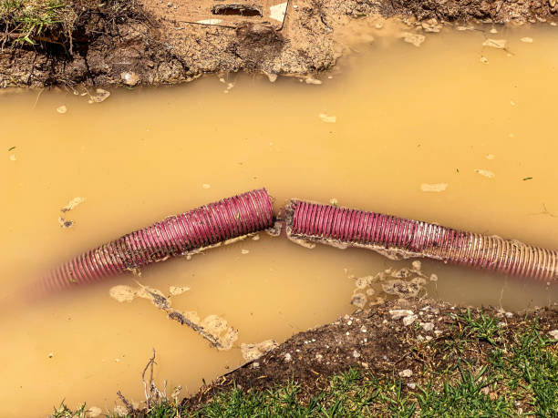 Best Basement water damage restoration  in Euharlee, GA