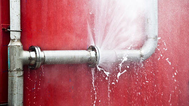 Best Local water damage restoration  in Euharlee, GA